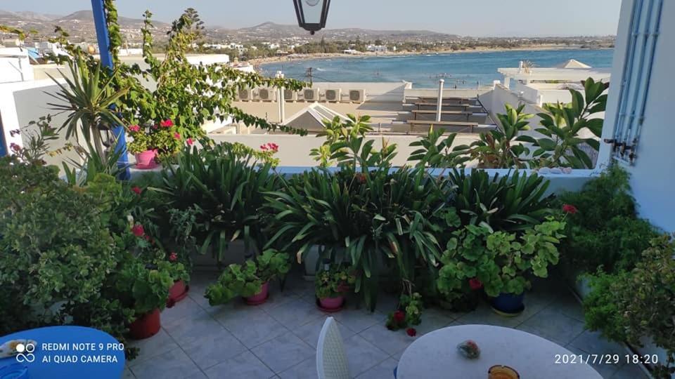 Hotel Elizabeth Naxos City Zewnętrze zdjęcie